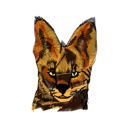 Cat Animals Cat Animals