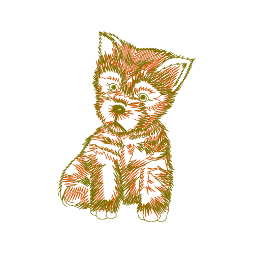 Cat Animals Cat Animals