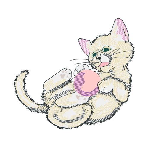 Cat Animals Cat Animals