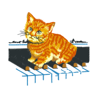 Cat Animals Cat Animals