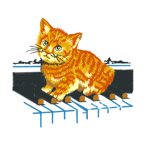 Cat Animals Cat Animals