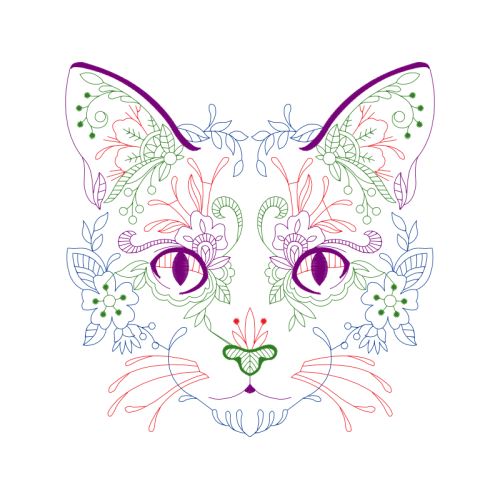 Cat Animals Cat Animals