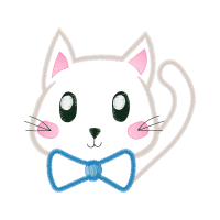 Cat Animals Cat Animals