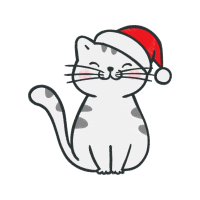 Cat Animals Cat Animals