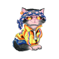 Cat Animals Cat Animals