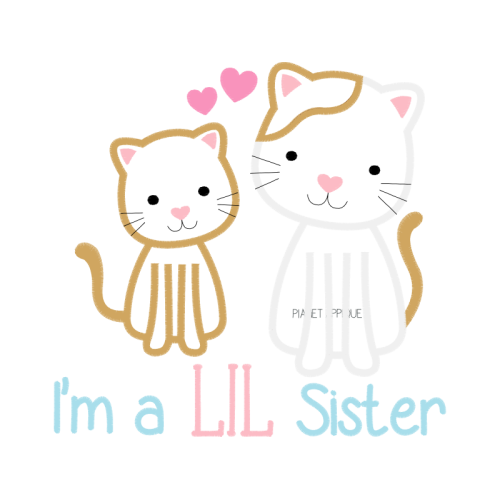 Cat Animals Cat Animals