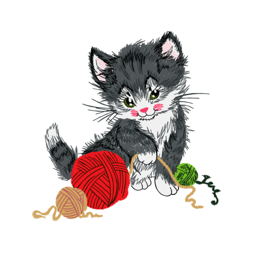 Cat Animals Cat Animals