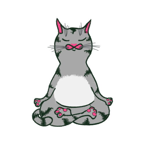 Cat Animals Cat Animals