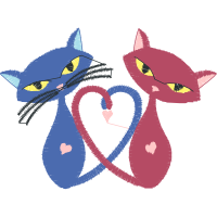 Cat Animals Cat Animals