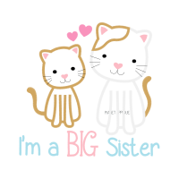 Cat Animals Cat Animals