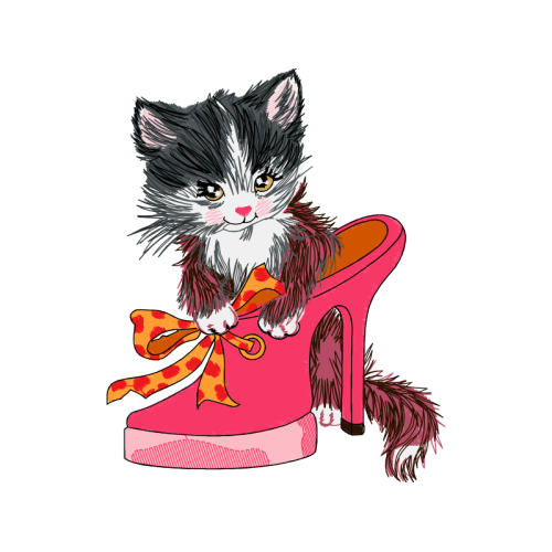 Cat Animals Cat Animals