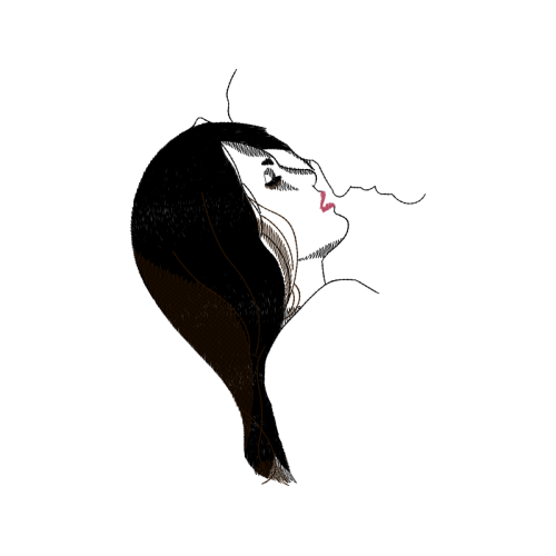 Cat Animals Cat Animals