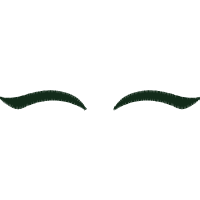 Cat Animals Cat Animals