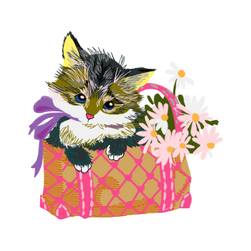 Cat Animals Cat Animals