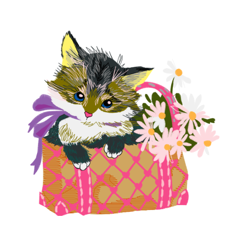 Cat Animals Cat Animals