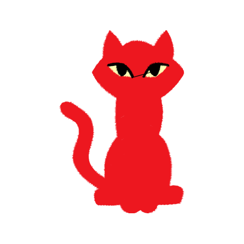 Cat Animals Cat Animals