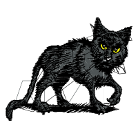 Cat Animals Cat Animals