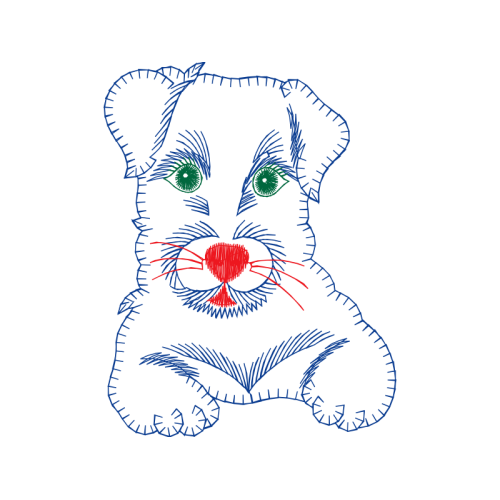 Cat Animals Cat Animals