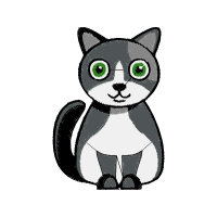 Cat Animals Cat Animals