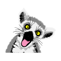 Cat Animals Cat Animals