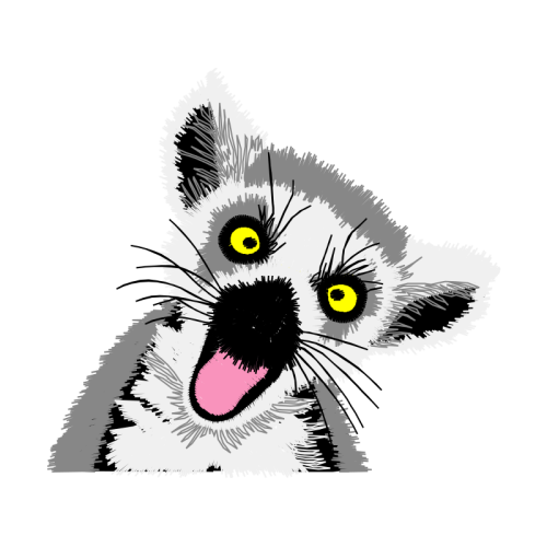 Cat Animals Cat Animals