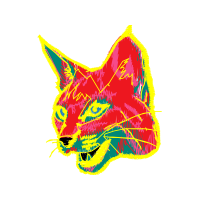 Cat Animals Cat Animals