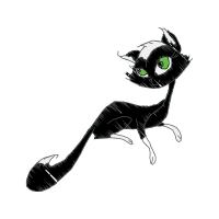 Cat Animals Cat Animals