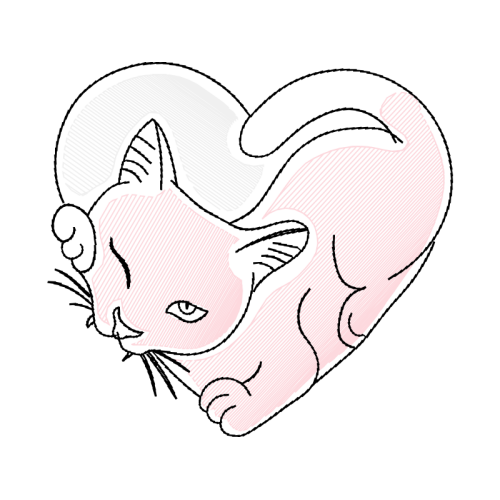 Cat Animals Cat Animals