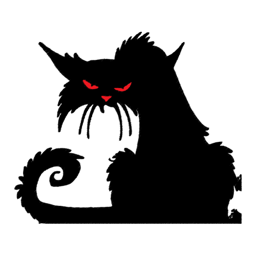 Cat Animals Cat Animals