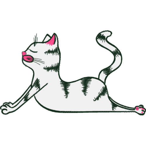 Cat Animals Cat Animals