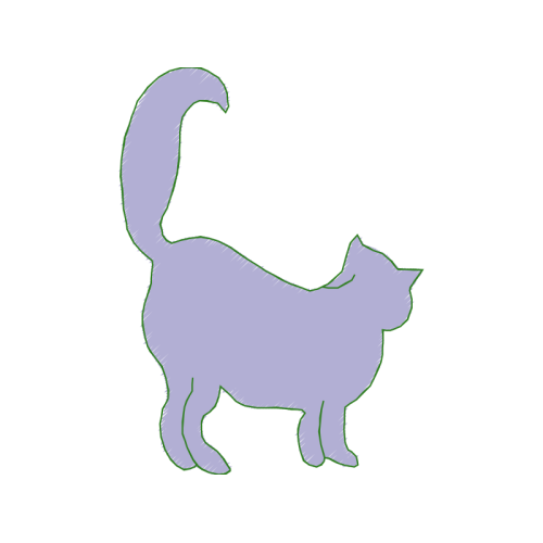 Cat Animals Cat Animals