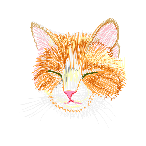 Cat Animals Cat Animals