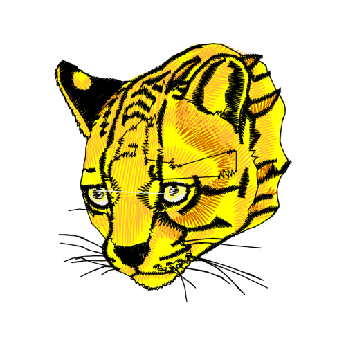 Cat Animals Cat Animals