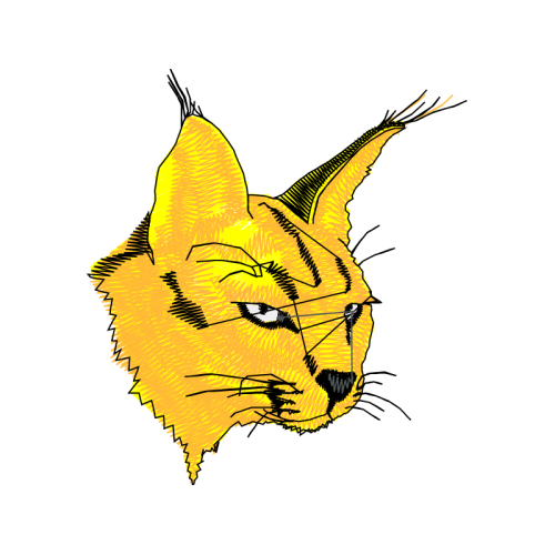 Cat Animals Cat Animals