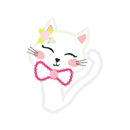 Cat Animals Cat Animals