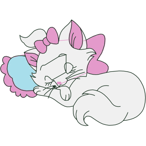 Cat Animals Cat Animals