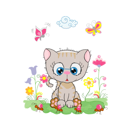 Cat Animals Cat Animals