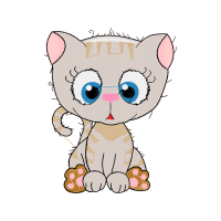 Cat Animals Cat Animals