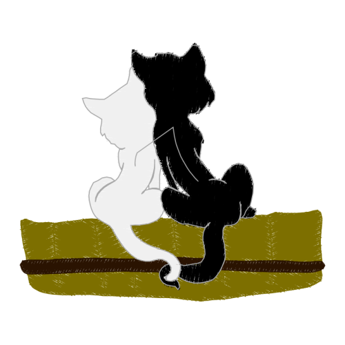 Cat Animals Cat Animals