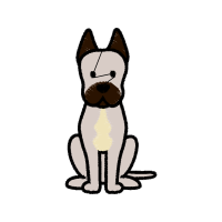 Cat Animals Cat Animals