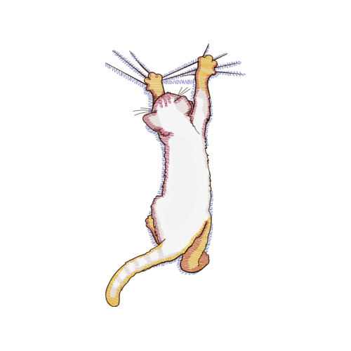 Cat Animals Cat Animals