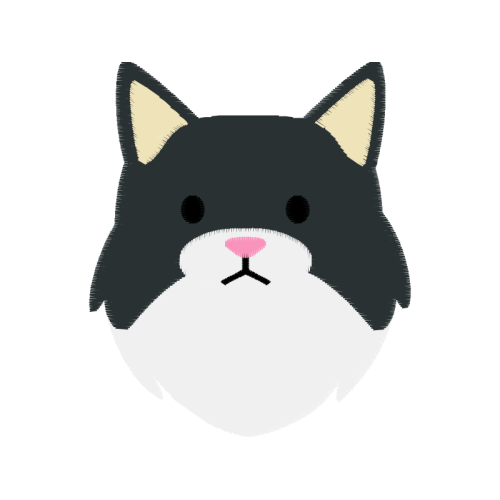 Cat Animals Cat Animals