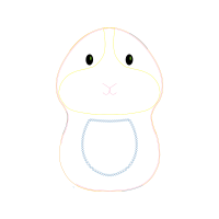 Cat Animals Cat Animals