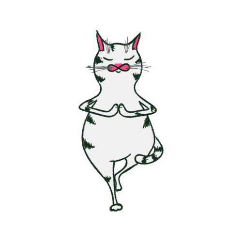 Cat Animals Cat Animals