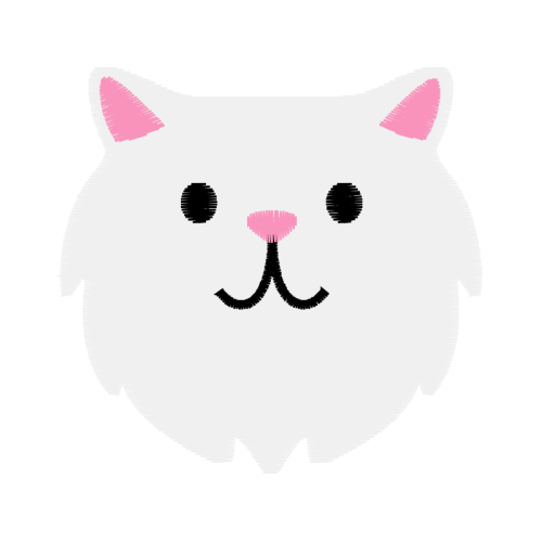 Cat Animals Cat Animals