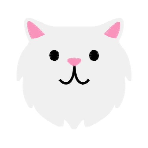 Cat Animals Cat Animals