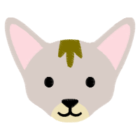 Cat Animals Cat Animals