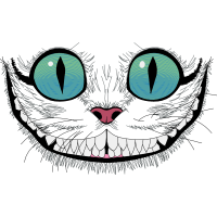 Cat Animals Cat Animals