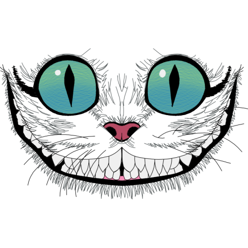 Cat Animals Cat Animals