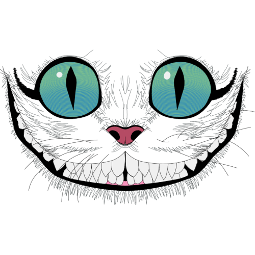 Cat Animals Cat Animals